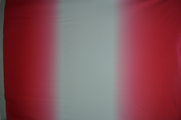 DSC01003